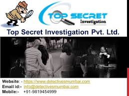 Top Secret Detective Agengy